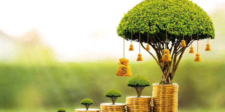 investment program cyprus