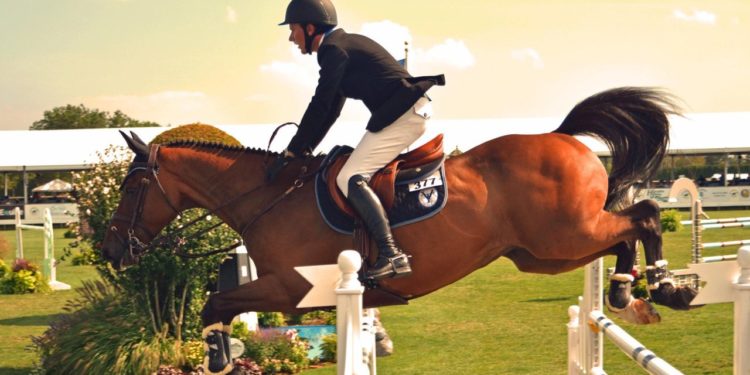 Magnetic Safety Stirrups