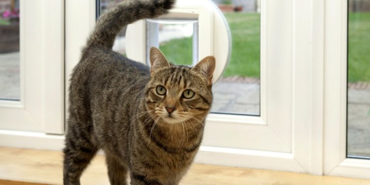 Draughtproof Cat Flap