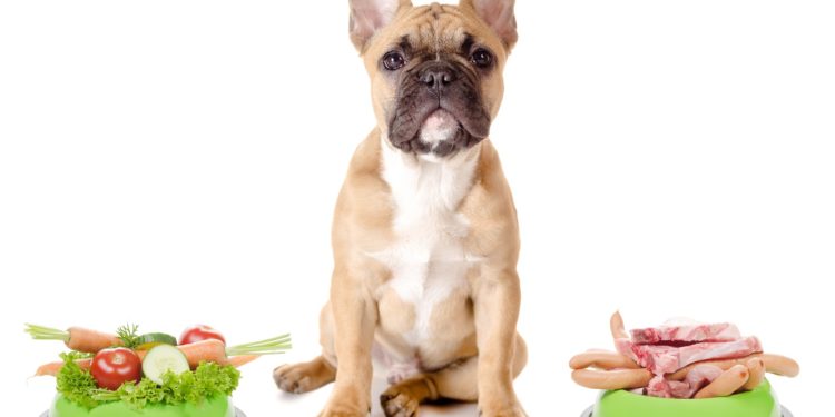 healthy food for dog