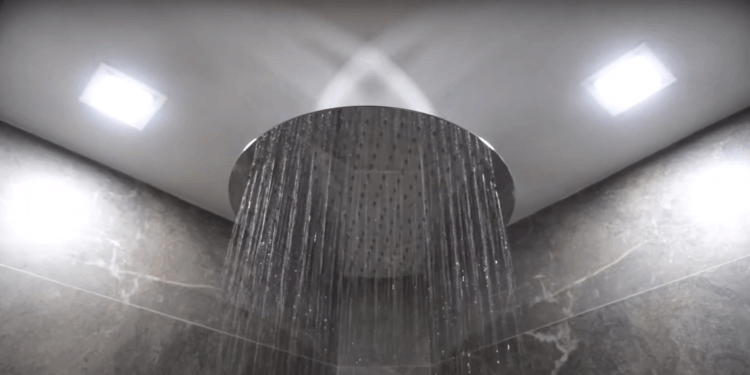 Hands Free Back Wash- A Showering Device for People with Mobility Problems