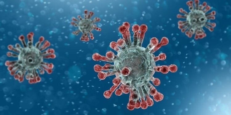 lead during a pandemic