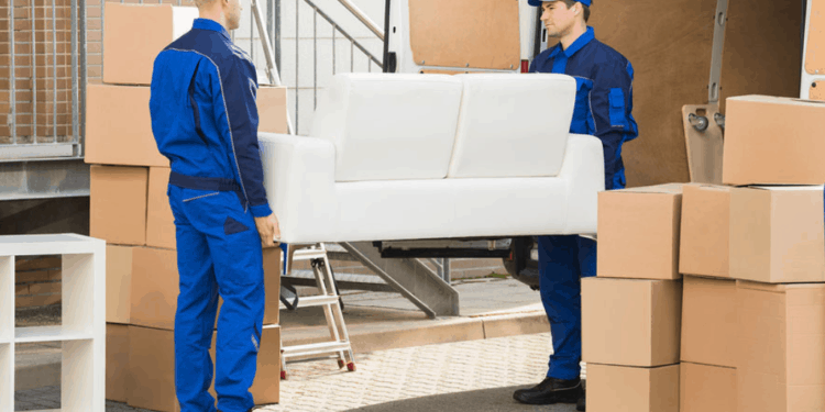 professional removalists
