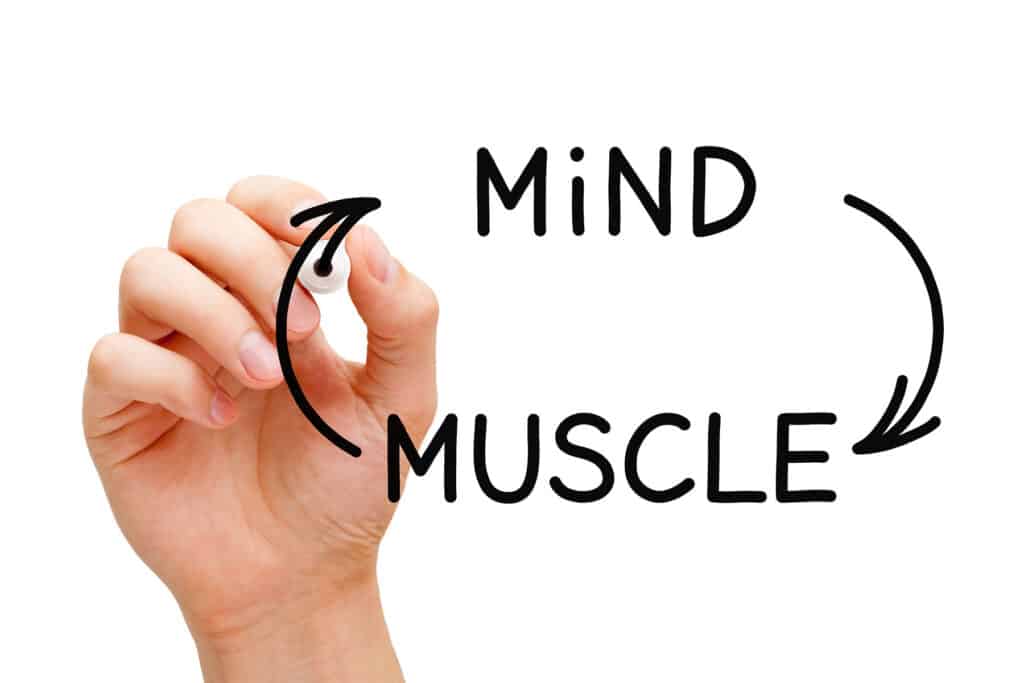 muscle growth 