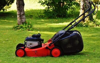 best lawn mowers for steep banks in 2022