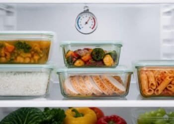 Glass containers of leftover soup, rice, roasted vegetables, sliced chicken and pasta on a refrigerator shelf, with a dial thermometer hanging above